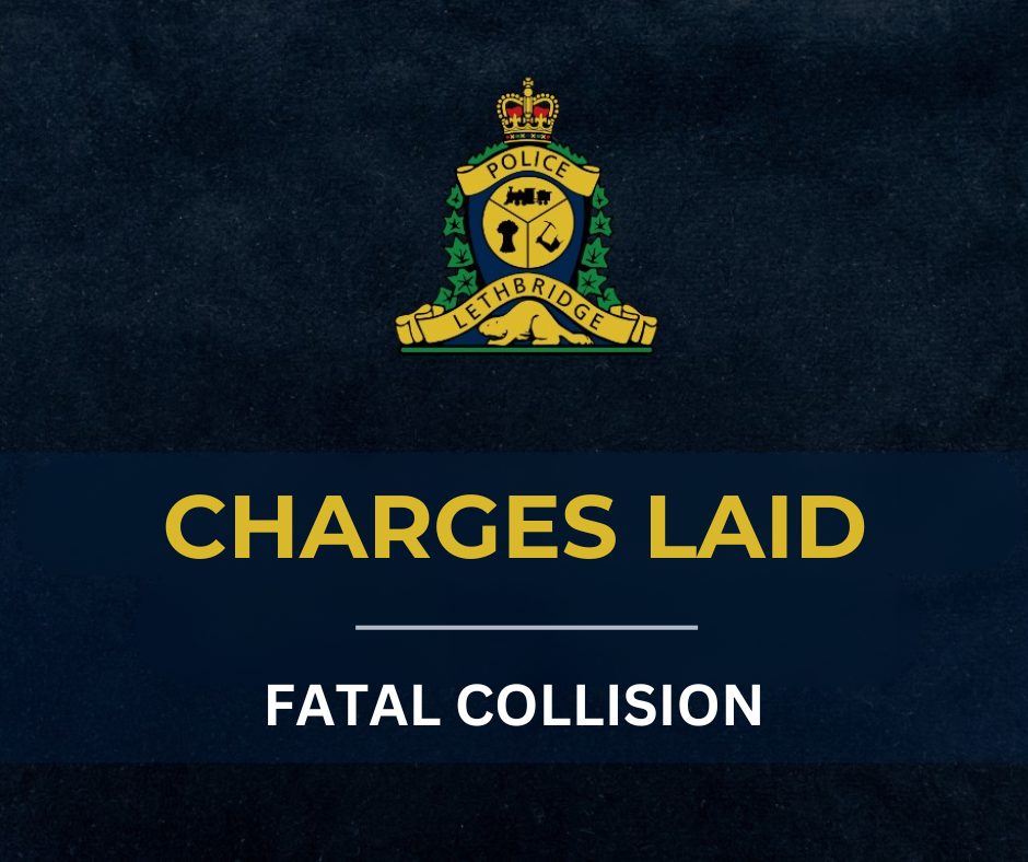 Image of Impaired driving charges laid in connection with fatal collision
