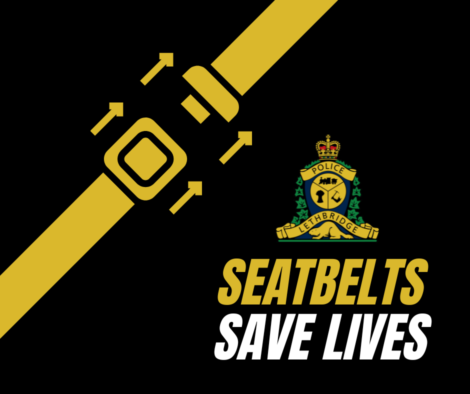 Image of Seatbelts Save Lives