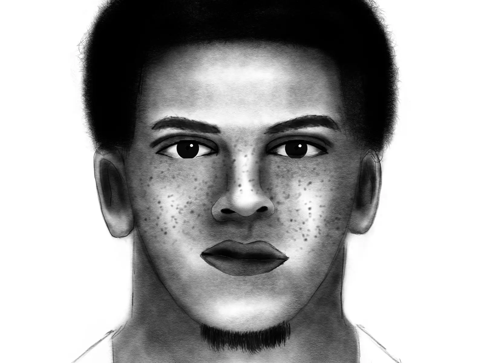 Police release composite sketch of sexual assault suspect | Lethbridge ...